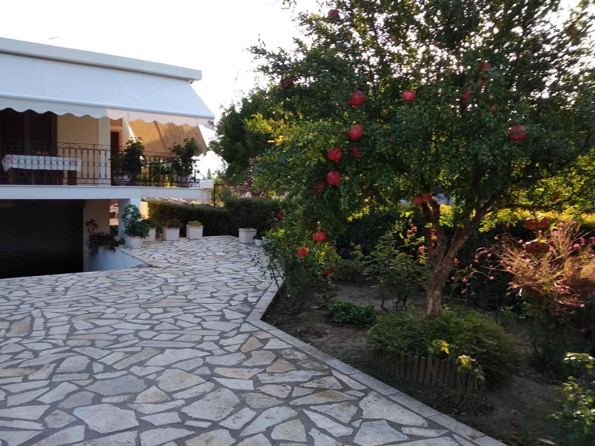 纳弗帕克托斯Ήσυχο Σπίτι Στη Ναύπακτο公寓 外观 照片